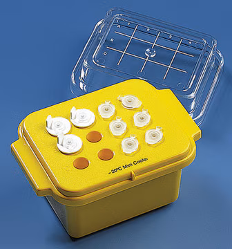 CoolCell Containers